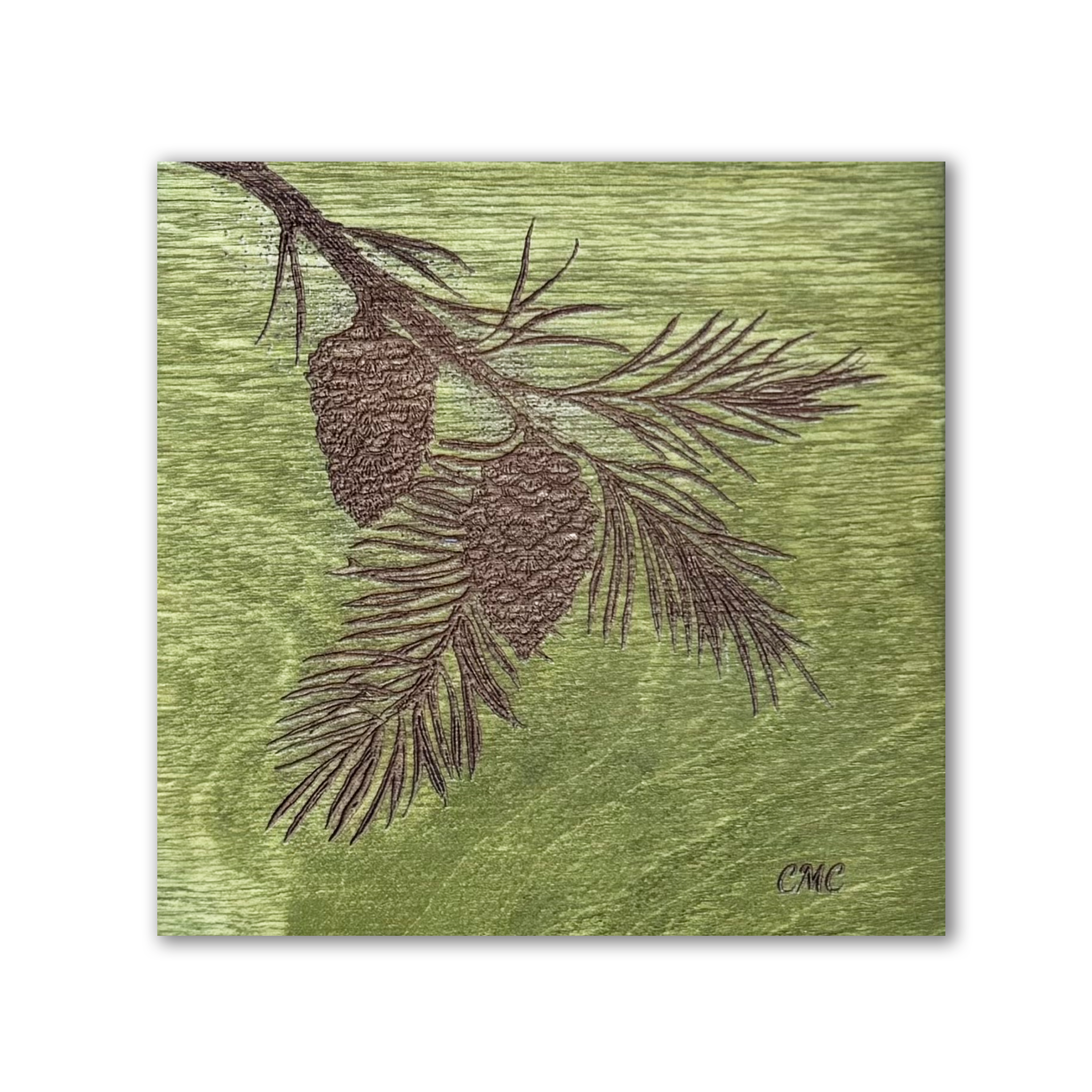 Laser engraved pine bough on green stain baltic birch tile